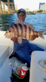 All-around great fishing lately