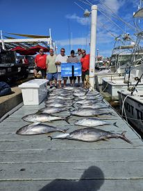 Tuna limits! 