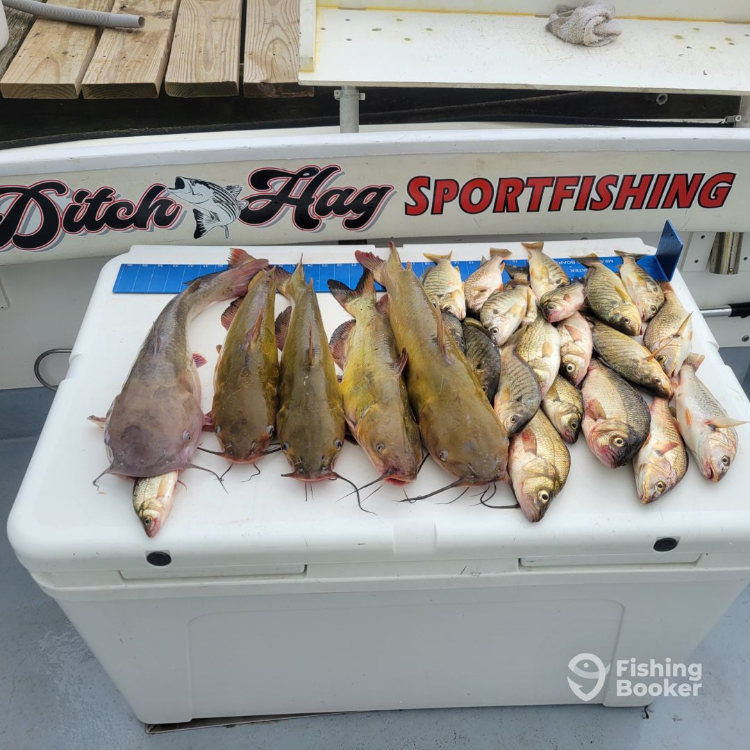 Middle River Report Photo 0