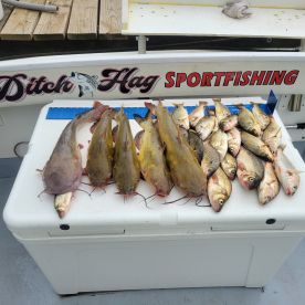 Middle River Report Photo 1