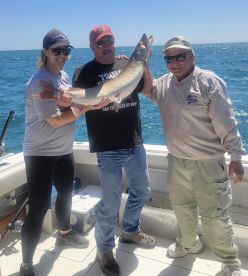 St. Clair Shores Report Photo 3
