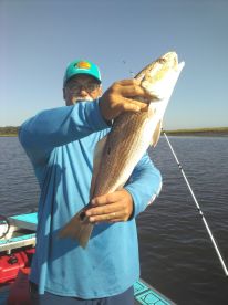 Redfish, a lot of Redfish, on the right 