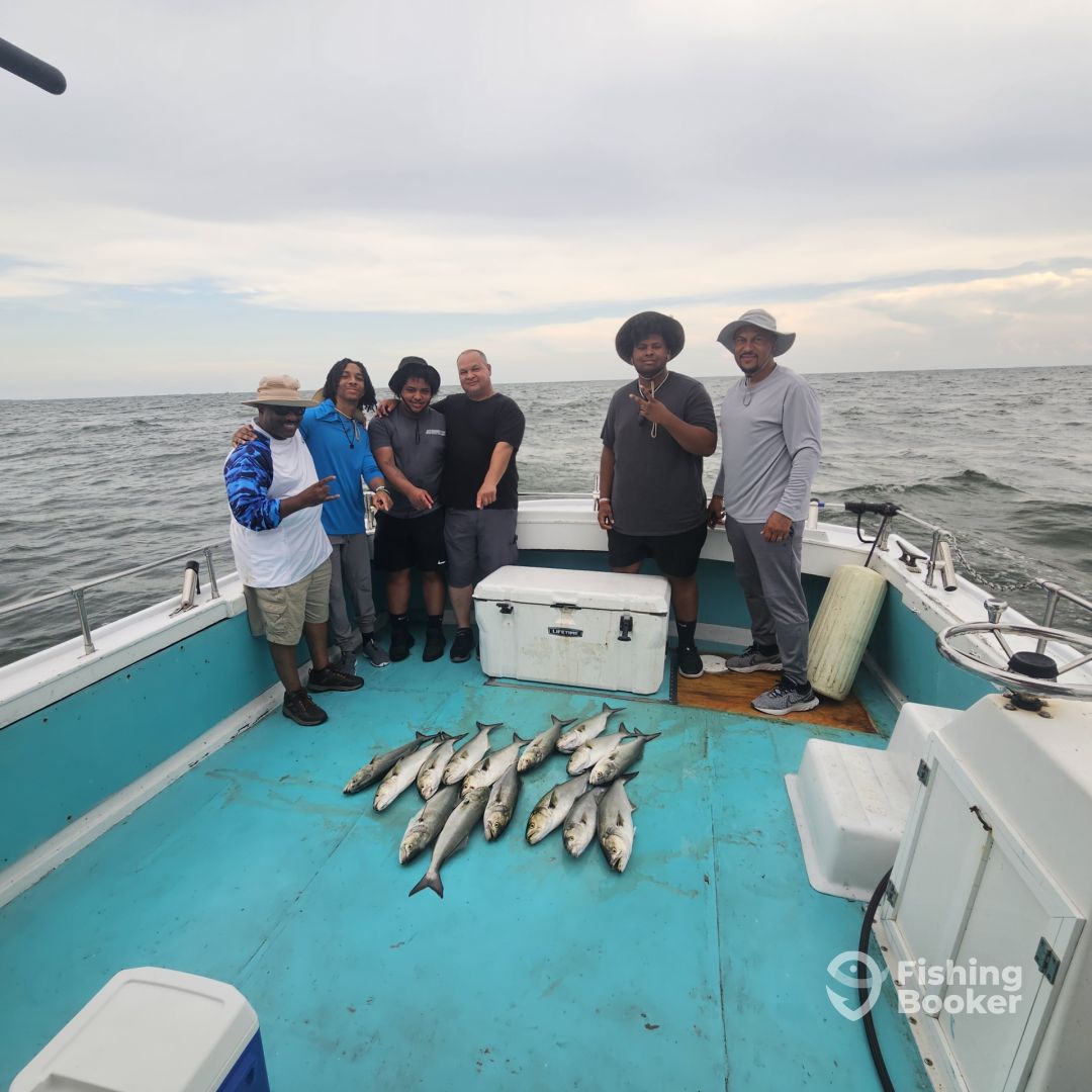 Solomons Report Photo 0