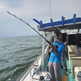 Solomons Report Photo 2