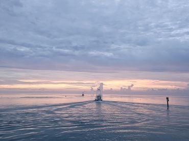 Islamorada Report Photo 2