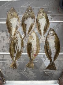 Santa Cruz Report Photo 2