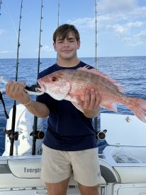 Belleair Bluffs Report Photo 3