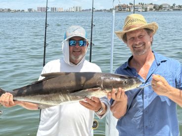 Belleair Bluffs Report Photo 4