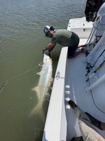 Pawleys Island Report Photo 2