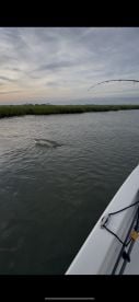 Pawleys Island Report Photo 1