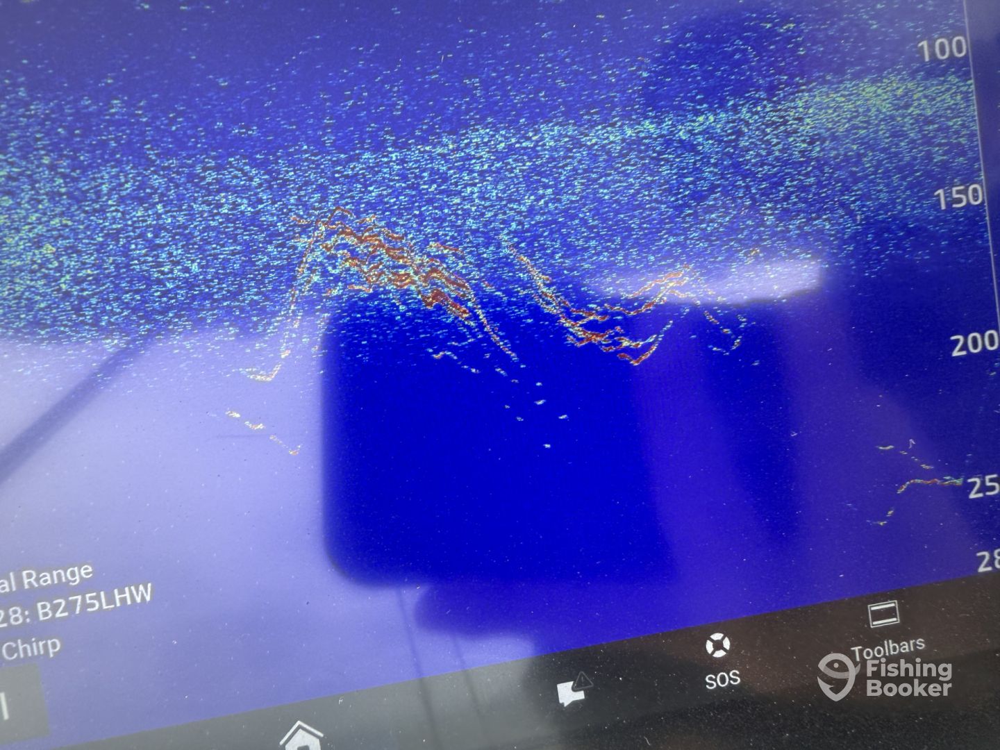 Catalina Island Report Photo 0