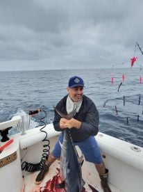 Catalina Island Report Photo 2