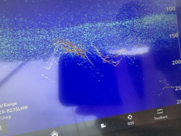 Catalina Island Report Photo 2