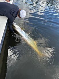 San Juan Report Photo 2