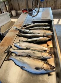 Fishing remains great 