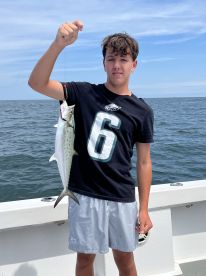 Great action trolling