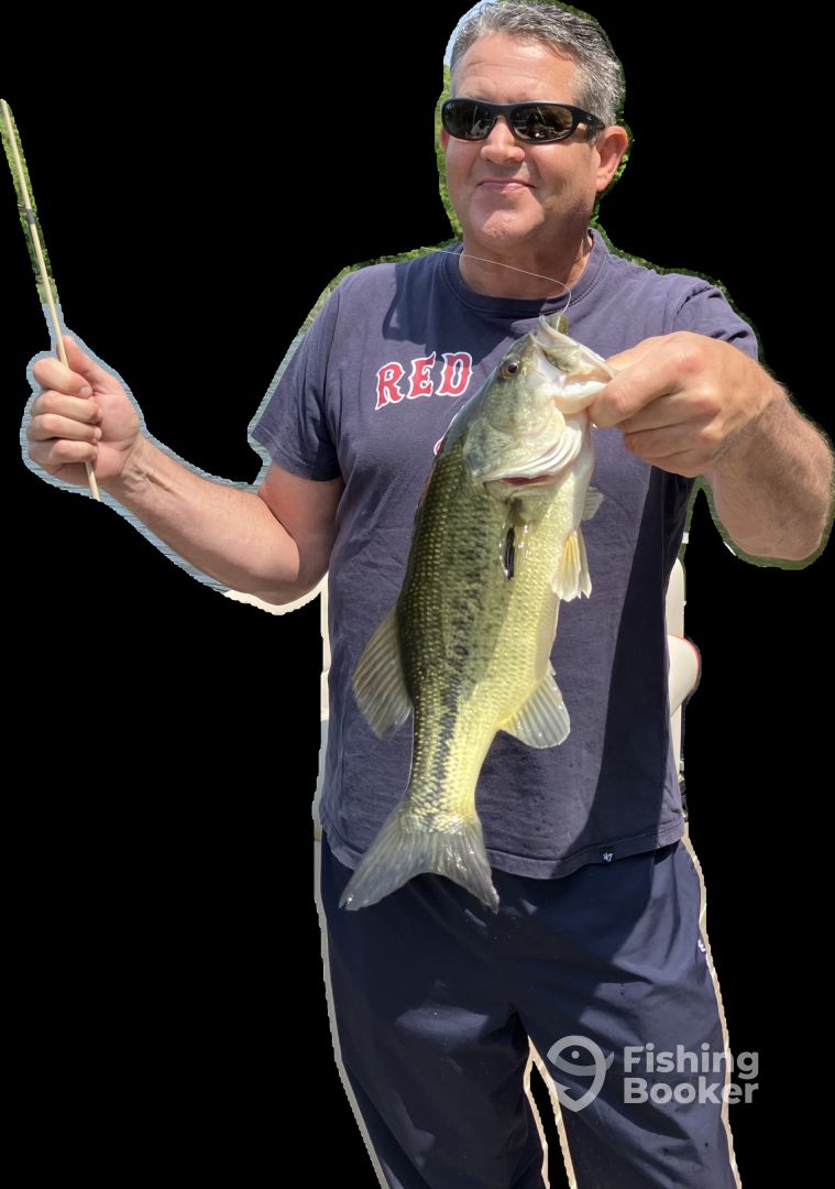 Irondequoit Report Photo 0