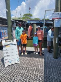 Harborwalk Marina Report Photo 1