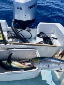 San Jose del Cabo Report Photo 2