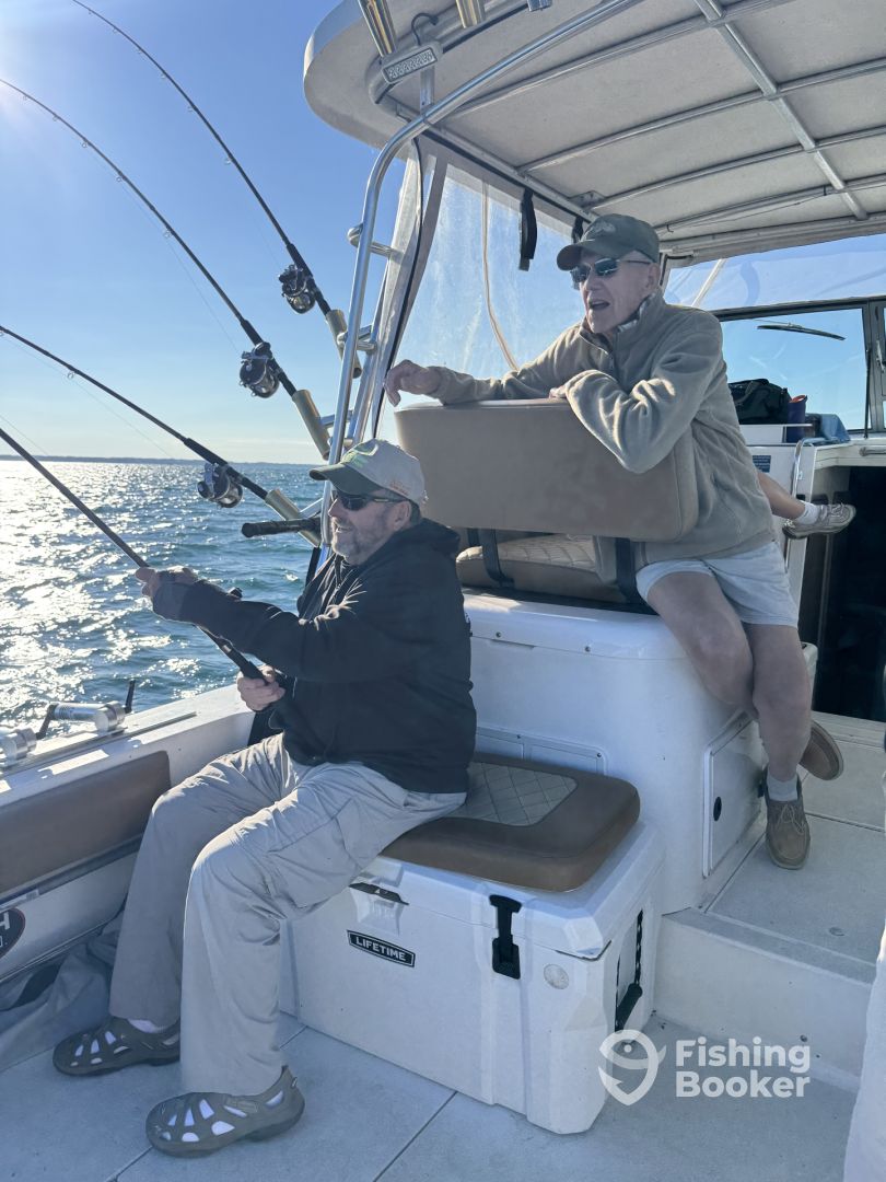 Grand Haven Report Photo 0