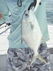 Cape Coral Report Photo 1