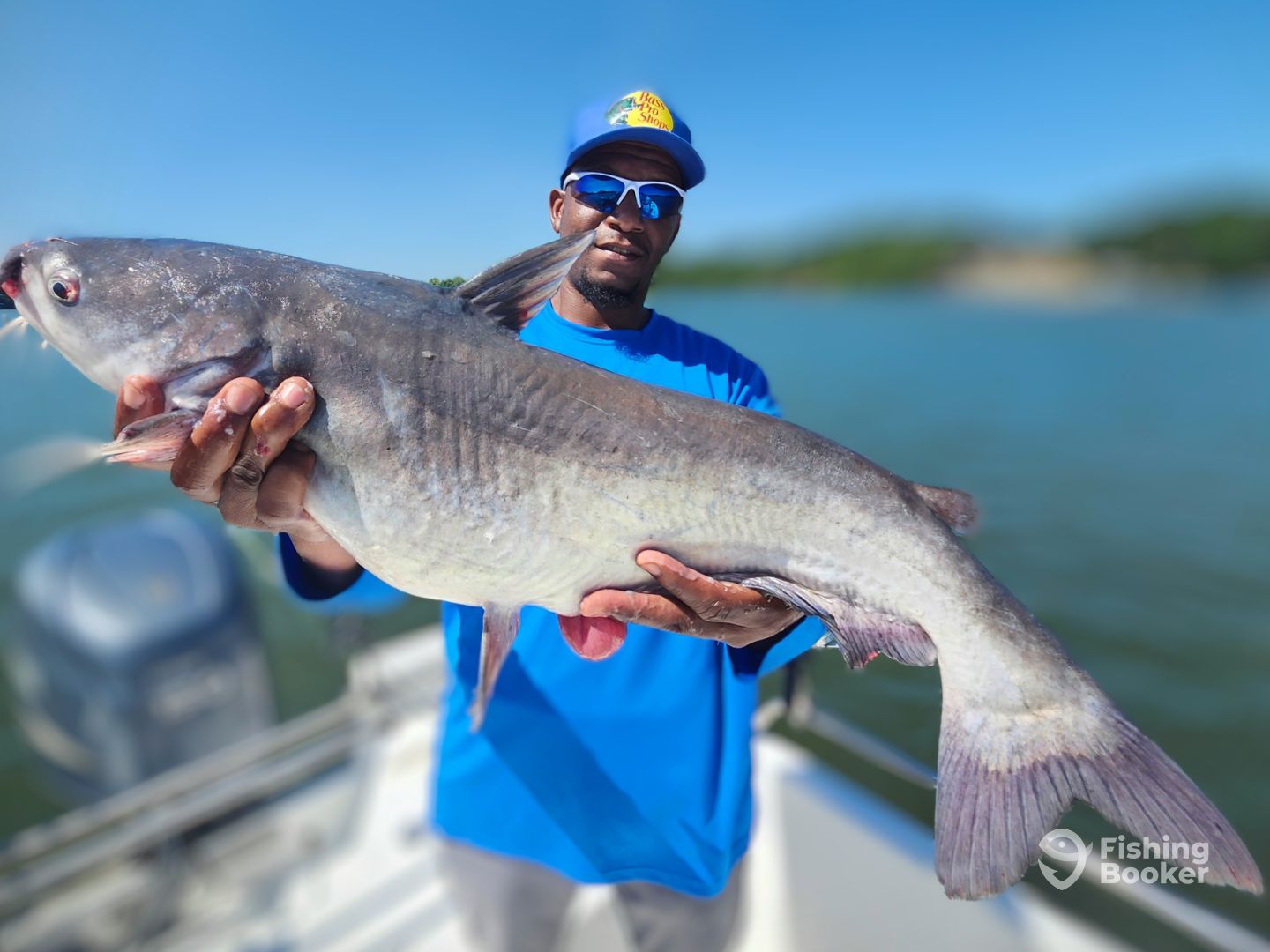 Nice LKW Blue Catfish