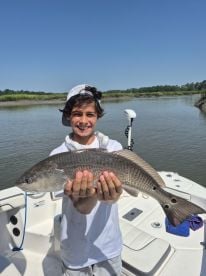 Birthday fish!