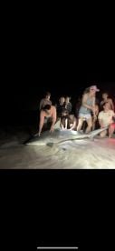 1 of 3 big sharks from last night