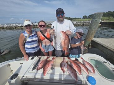 Gulf Shores Report Photo 2