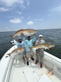 Bull Redfish