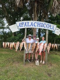 Red Grouper 