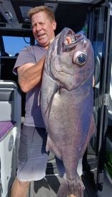 Big Bluenose warehou for Dave out in 350m of water
