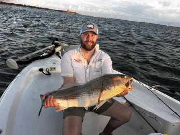 Shark and Bull red trip