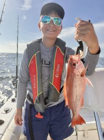 Gulf Breeze Report Photo 1
