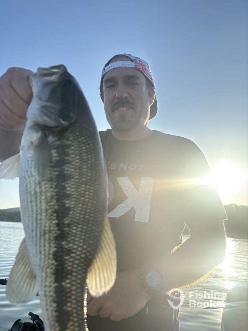 Branson Report Photo 0