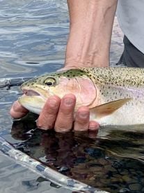 Montana Report Photo 1