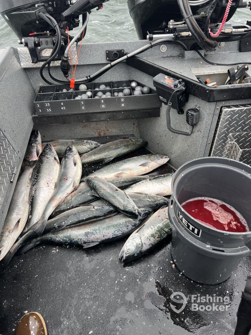 Columbia River Report Photo 0