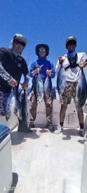 Tuna action 