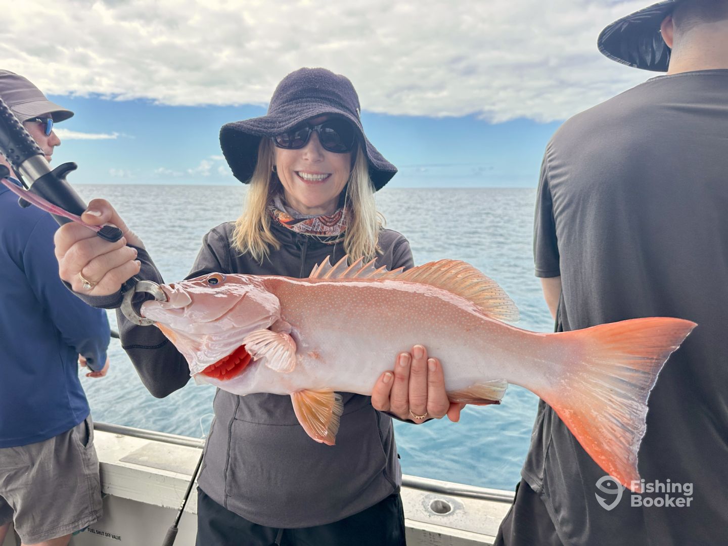 North Queensland Report Photo 0