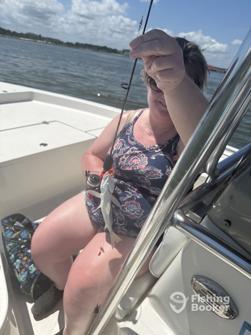Ocean City Report Photo 0