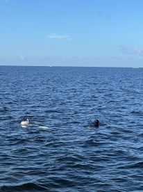 Steinhatchee Report Photo 2
