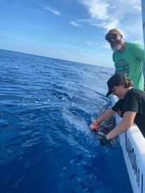 Today the birthday guy get sailfish 