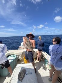 AMERICAN Red Snapper, Red Grouper, Mahi 