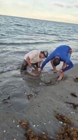 West Palm Beach Report Photo 2