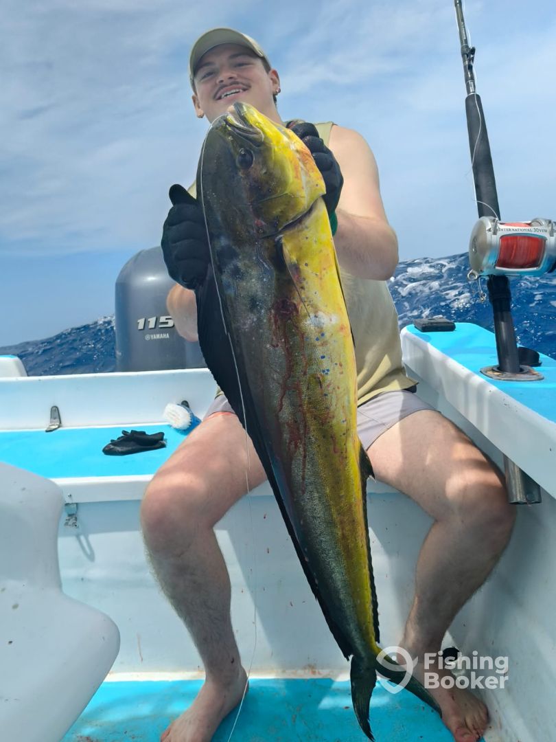 Playa Del Carmen Report Photo 0