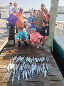 Lots of Spanish Mackeral