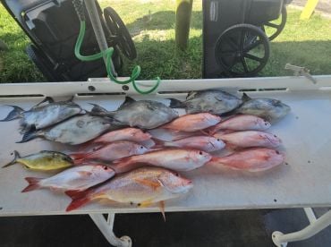 July catching!