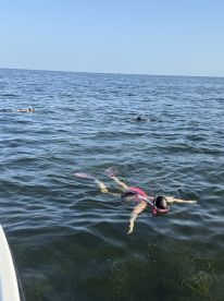 Citrus County Report Photo 1