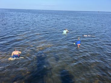 Steinhatchee Report Photo 2