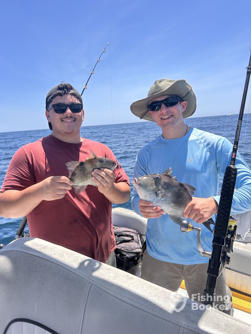 Charleston Report Photo 0